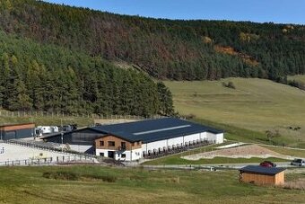 Stajní, ošetrovať koní