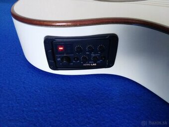 Predam el.ak. gitaru LAG 118 T118ASCE-IVO ZN.CENA.