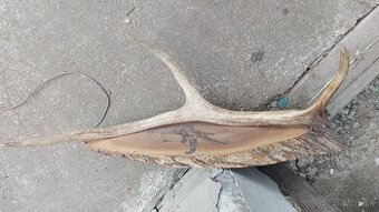 Dekoračné parohy na dreve – ručne vyrobený originál