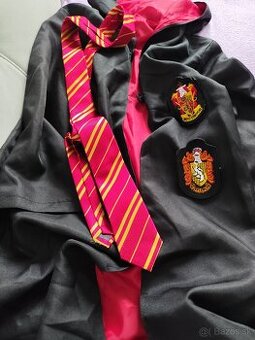 Kostým Harry Potter