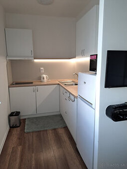 Komplete zariadená garsónka v Nitre na prenájom