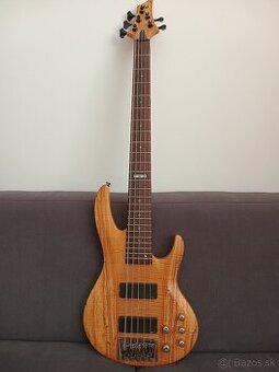5 strunová basgitara ESP LTD b405sm