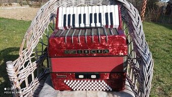 Harmonika -Akordeon.Delícia Junior 72basová.
