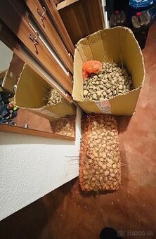 Predám sadbové zemiaky, dokopy cca 1meter-20€