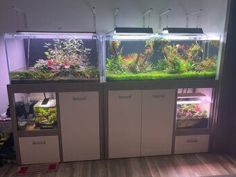 Akvariovy set