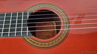 Mistrovská kytara Hugo Schneider