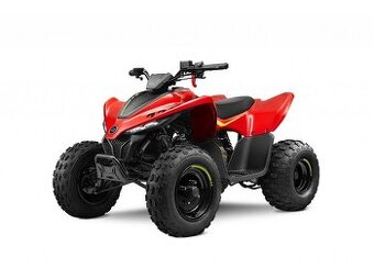 Štvorkolka CF Moto gladiator X110LE