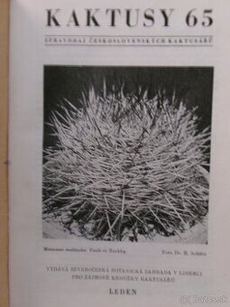 Kaktusy 1965 - 1985 - viazané časopisy.