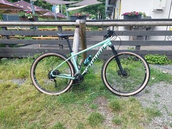 Specialized Rockhopper Comp L