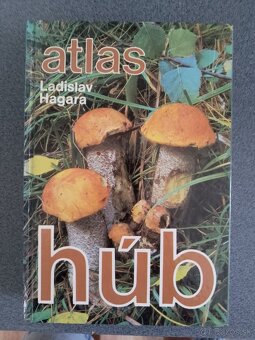 Atlas húb - 1
