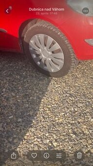 Puklice škoda
