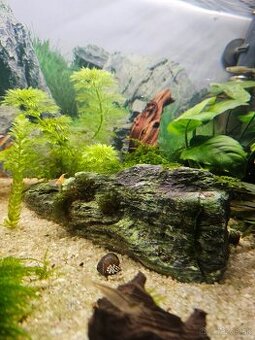 Seryiu stone kamen dekoracia