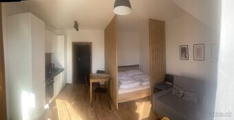 Apartmán v pavčinej lehote -Demänovská dolina-Jasná