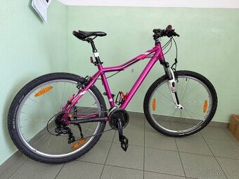 damsky / dievcensky kellys