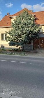 Na predaj rodinný dom v obci Pretržka