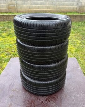 225/55 r16 letné DAYTON 95W