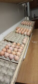 NV Oravka žltohnedá