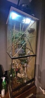 Terarium