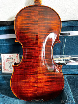 Predám husle, 4/4 husle: "Violin Vivaldi 37", model Stradi