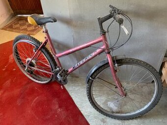 Dámsky bicykel