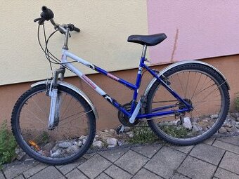 Švajčiarsky bicykel SwissCruise