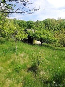 Záhradná chatka so slnečným pozemkom - záhradou, obec Rybník