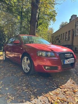 Audi A3 8P 2.0 TDI