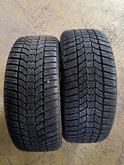205/50 r17 zimne