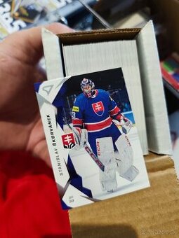 Hokejové Slovensko 25