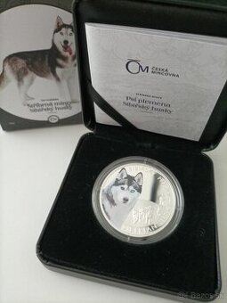 Strieborna minca sibirsky husky