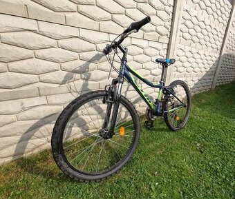 CTM BERRY 2.0 matná petrolejová / limetková - 1