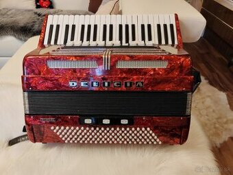 Akordeón DELICIA 120 basový