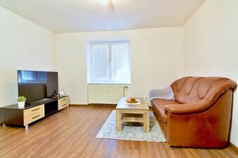 Veľkometrážny 2-izb byt s klímou v centre, povolené zvieratá