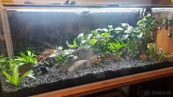 Predam velke akvarium 60x60x160 - 576 l.