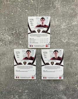 Hokejové kartičky TIPOS EXTRALIGA 2024/2025 base