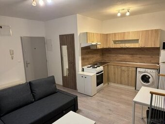 Prenájom 1-izbového bytu - 1