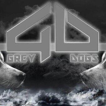 Kapela Grey Dogs hľadá sólového gitaristu