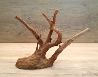 Koreň do akvária, terária