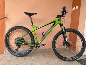 Predam Bergamont roxtar karbon