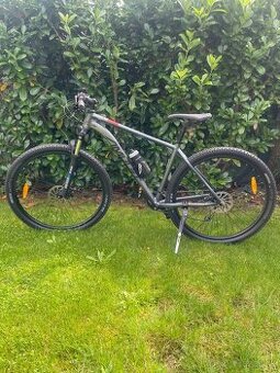 Amulet rival 29” 2.0