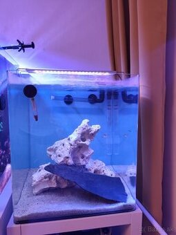 Akvárium Dennerle 60l