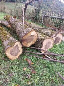 Predám orechové drevo