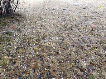 HALO reality - Predaj, rekreačný pozemok Nálepkovo, Zahájnic