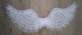 Svietiace anjelské krídla - 1