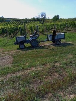 Vinica v tokajské oblasti