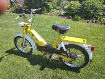 Babeta 207