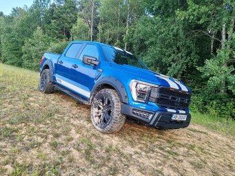 Ford f150 LPG
