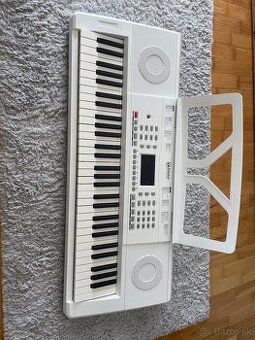 Keyboard Schubert Etude 61 MK II