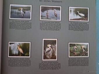 Album Orientalischen Tabak