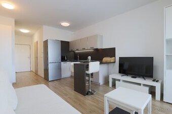 1 izb byt Nový Ružinov